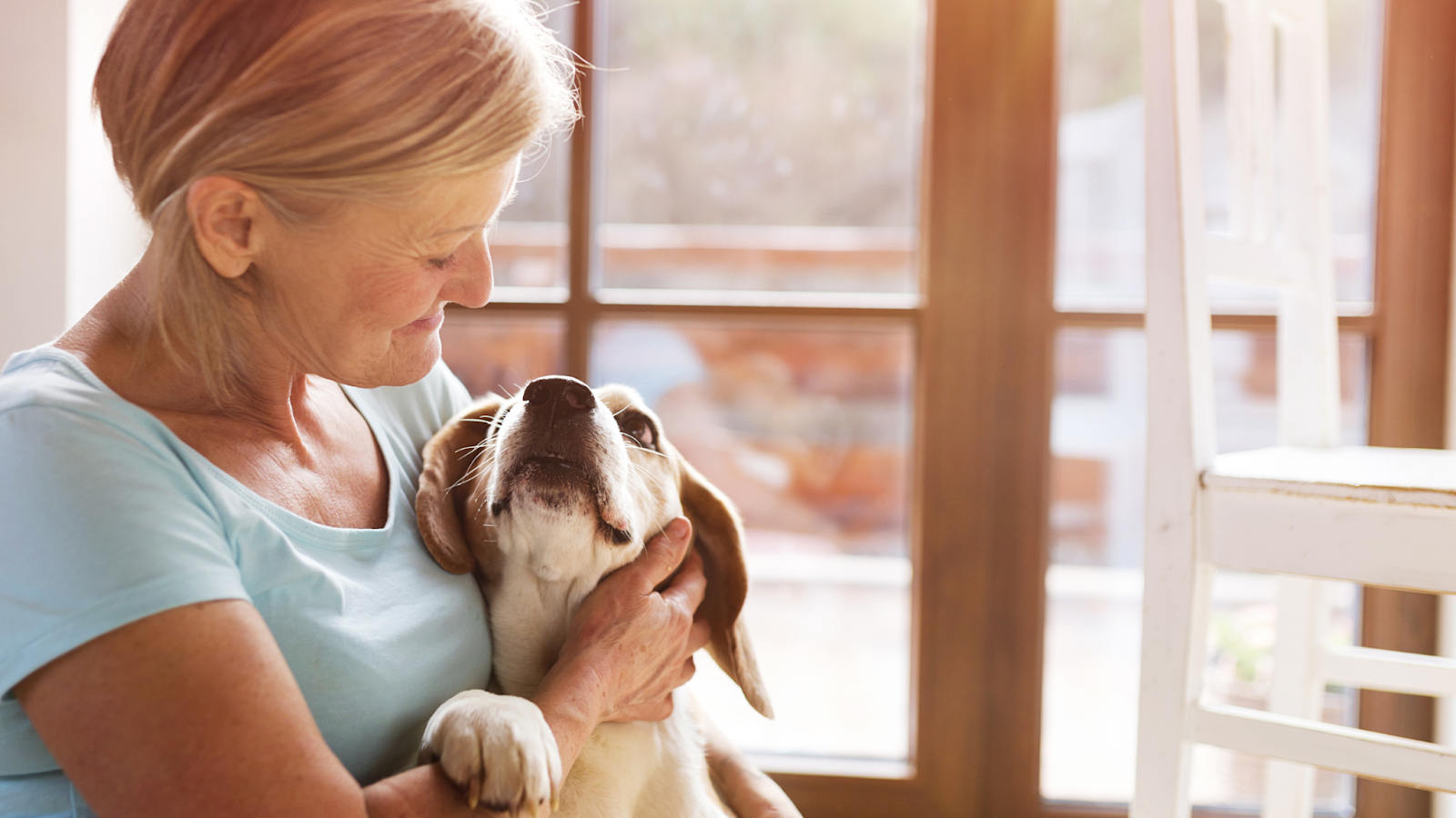 older woman smiling holding a dog - pet therapy is a fantastic care home activity to help people's mental wellbeing