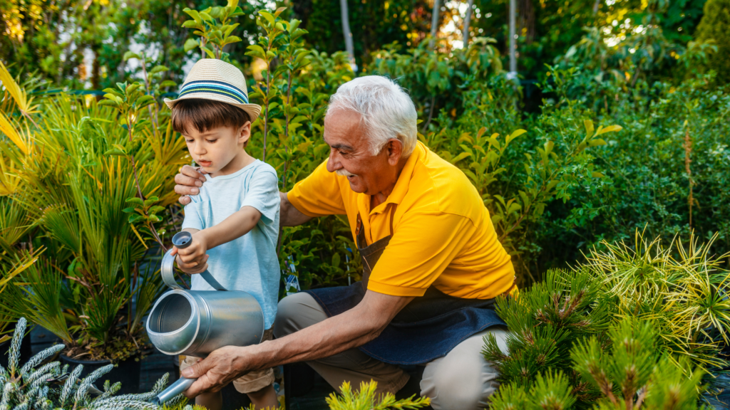 Young child watering plants with grandfather - gardening is a great dementia activity which can be adapted for each stage