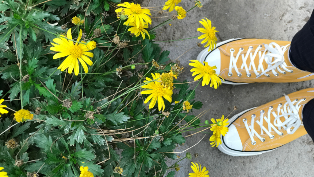 discover nature based activities for people with dementia