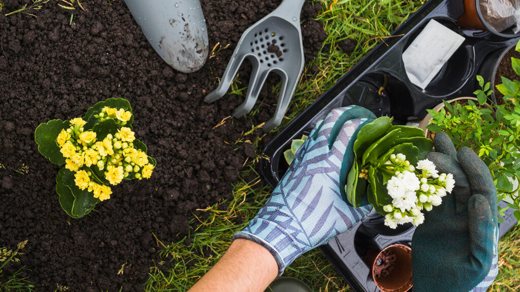 Gardening Activity