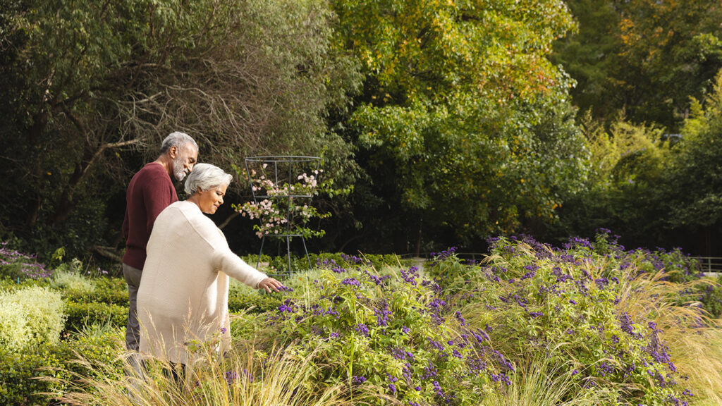 Older people with dementia enjoying surroundings of nature