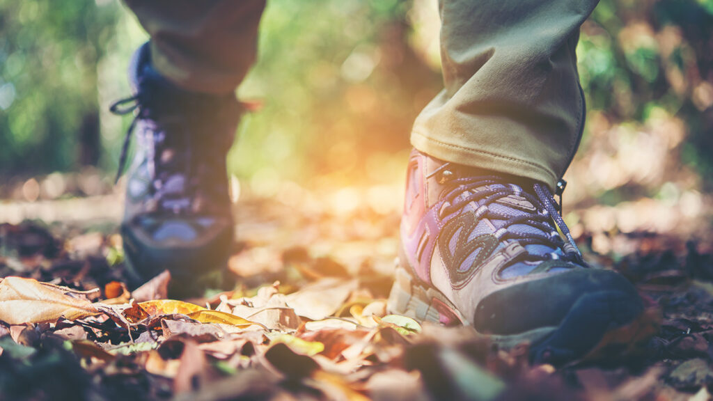 Nature Walks