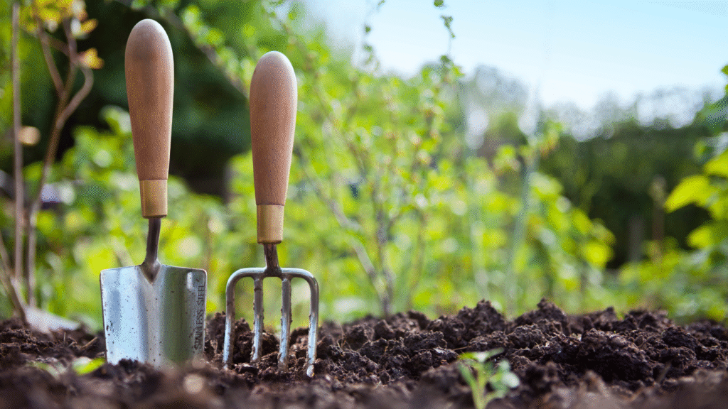 gardening tools to help with dementia wellbeing